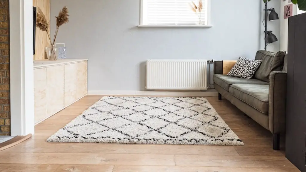 How to remove vomit odor from carpet?