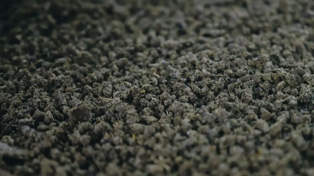 How to remove old outdoor carpet glue?