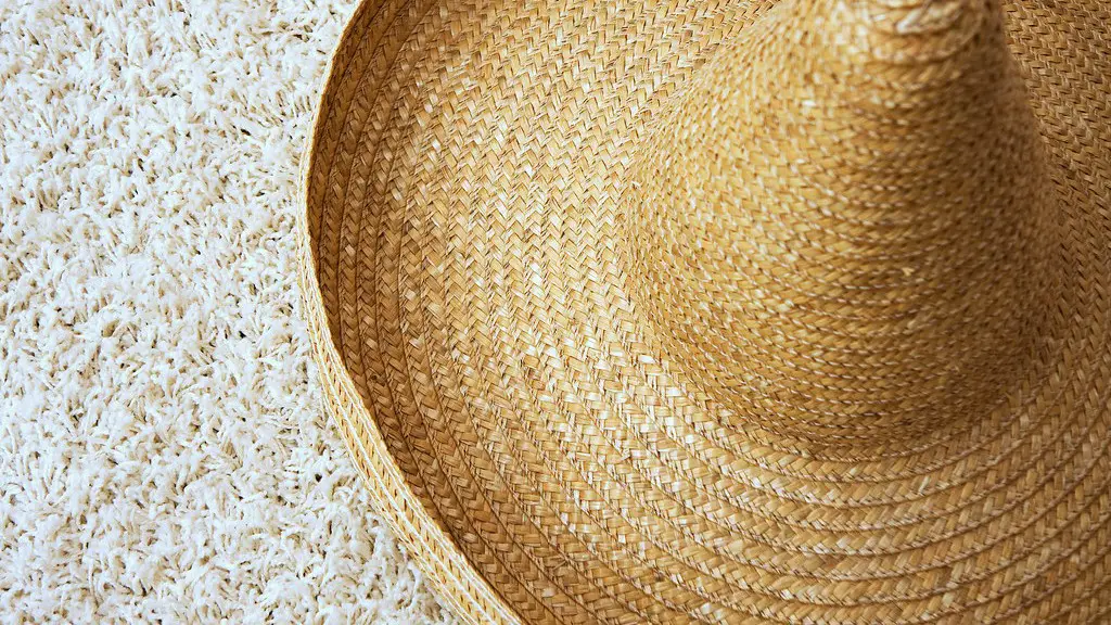 Can pet urine be removed from carpet with oxiclean powder?