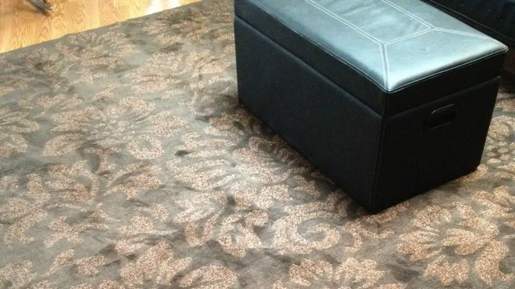 How to remove salt stains from carpet?