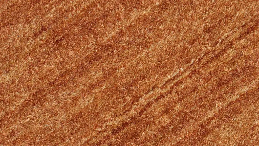 How to remove salt stains from carpet?