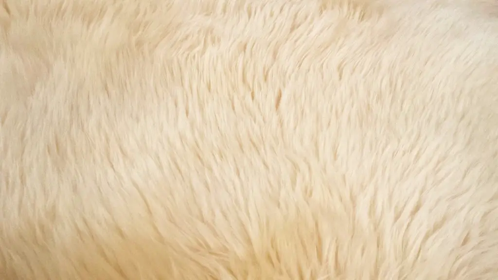 How to remove chocolate stain from carpet?
