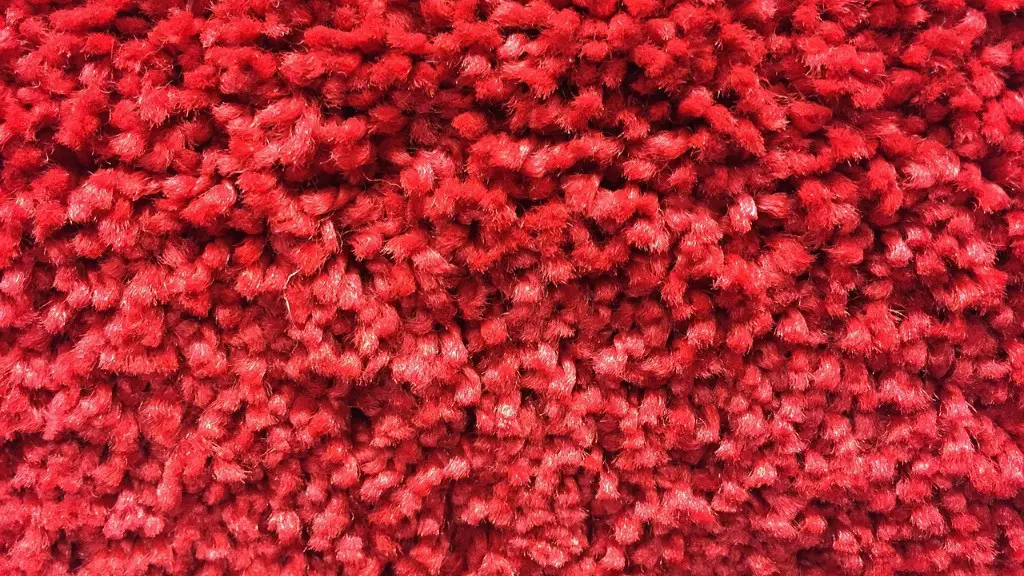How can i remove dog poop stains from my carpet?