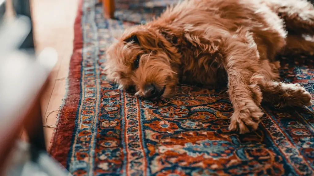 How to remove peanut butter from carpet?