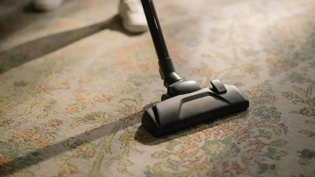 How to remove salt from auto carpet?