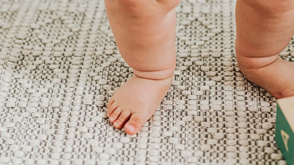 How to remove old stains from carpet with baking soda?