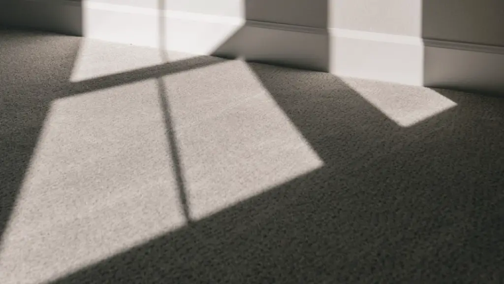 How to remove deep pet stains from carpet?