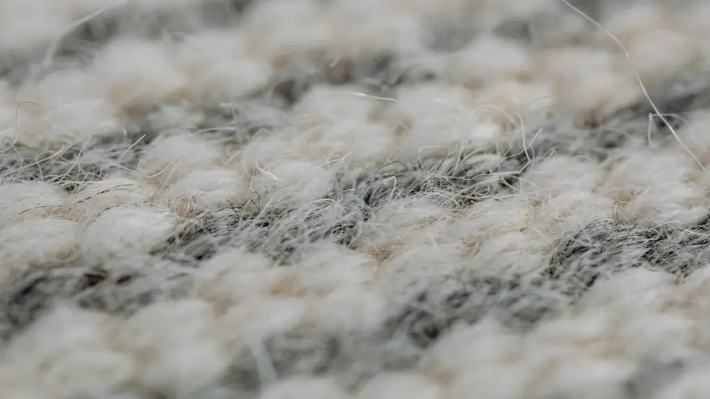 How to remove pet feces stains from carpet?