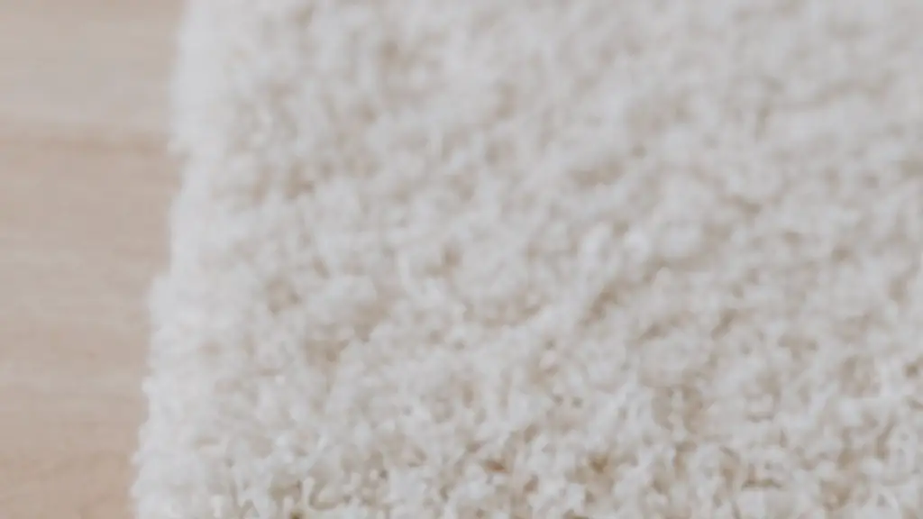 Does carpet cleaning remove smell?