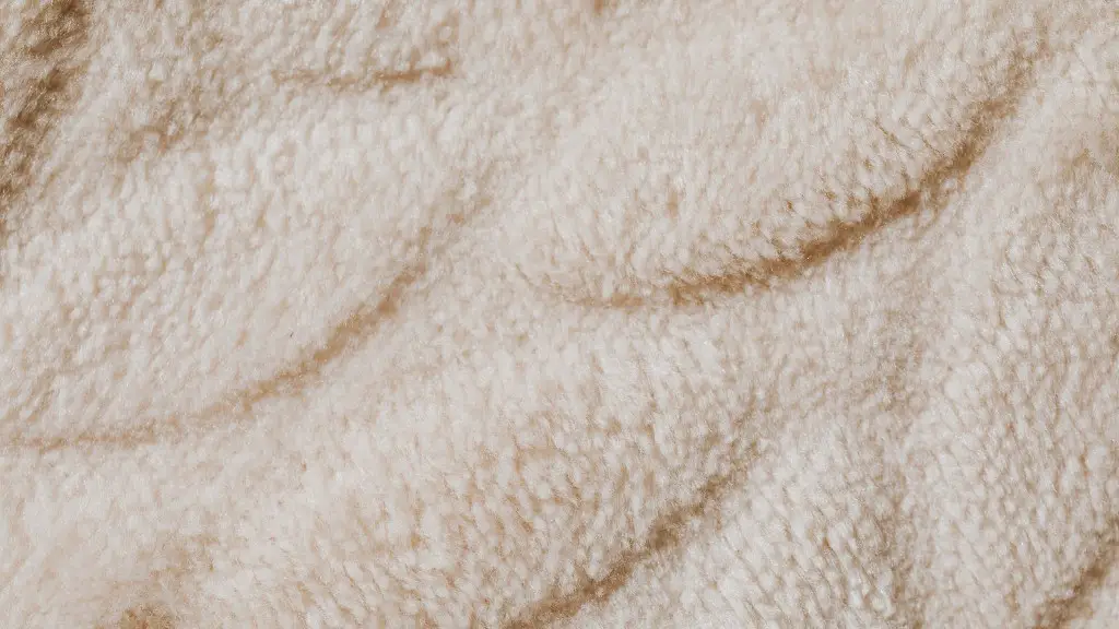 How to remove wet lily pollen stains from carpet?