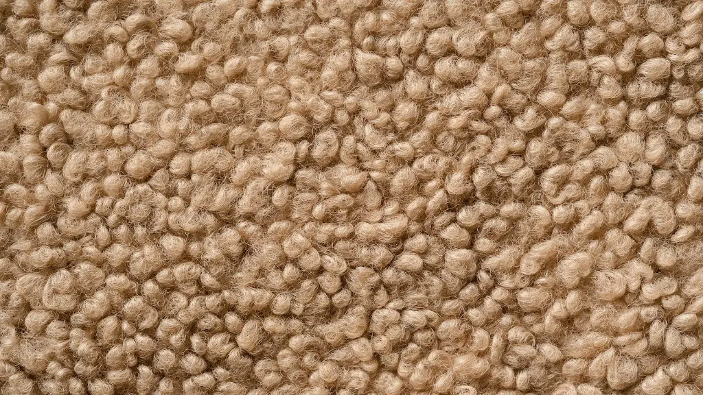 How to remove vomit from carpet?