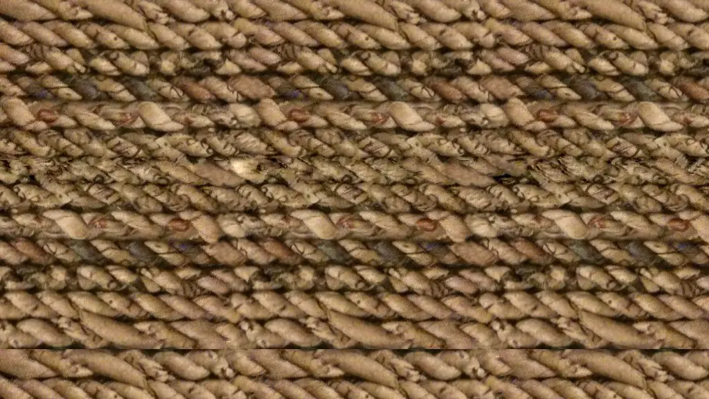 How to remove flubber from carpet?