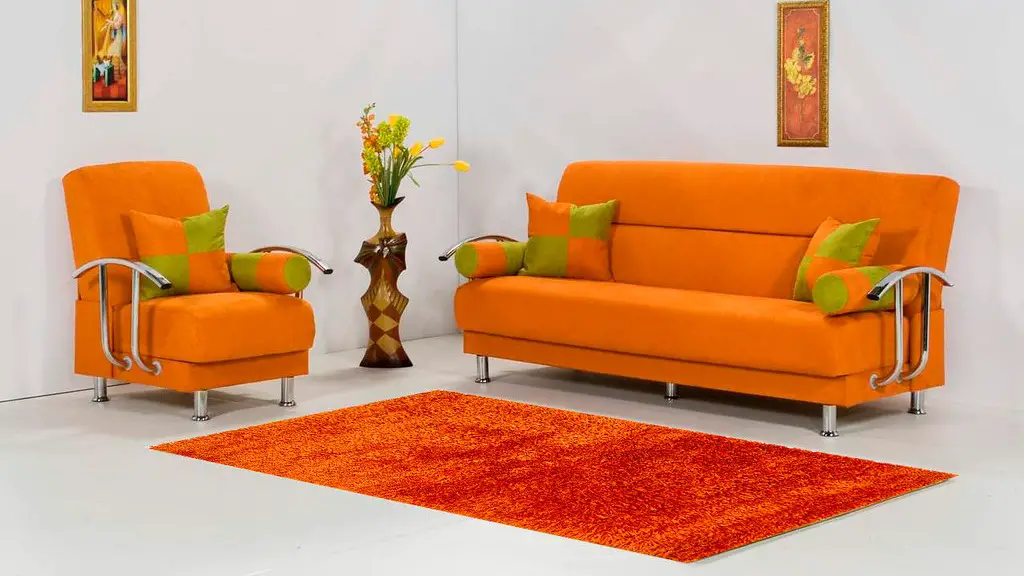 How to remove human feces stains from carpet? Carpet