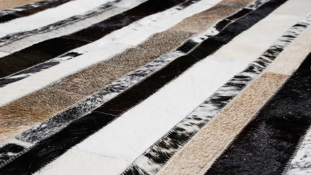 Does professional carpet cleaning remove cat dander?
