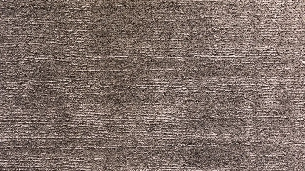 Can you remove black mold from carpet?