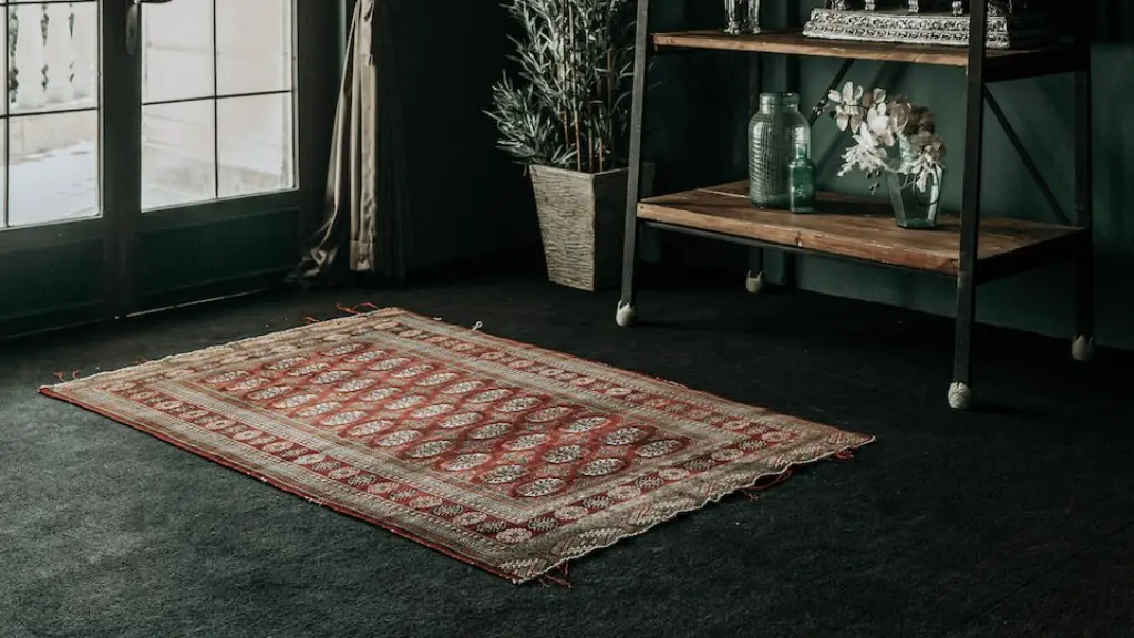 How to remove salt from auto carpet?