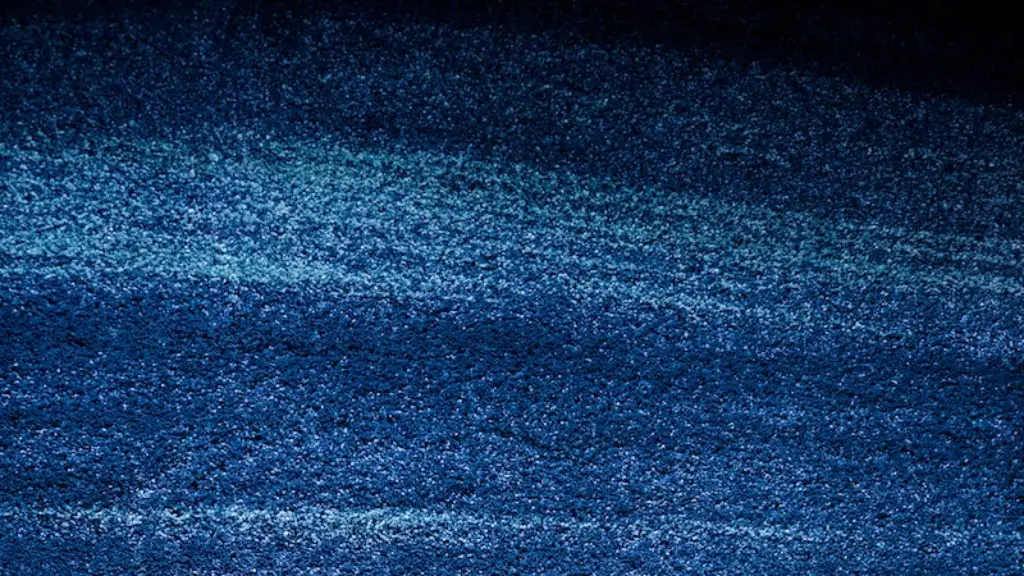 Can bleach remove stains from carpet?