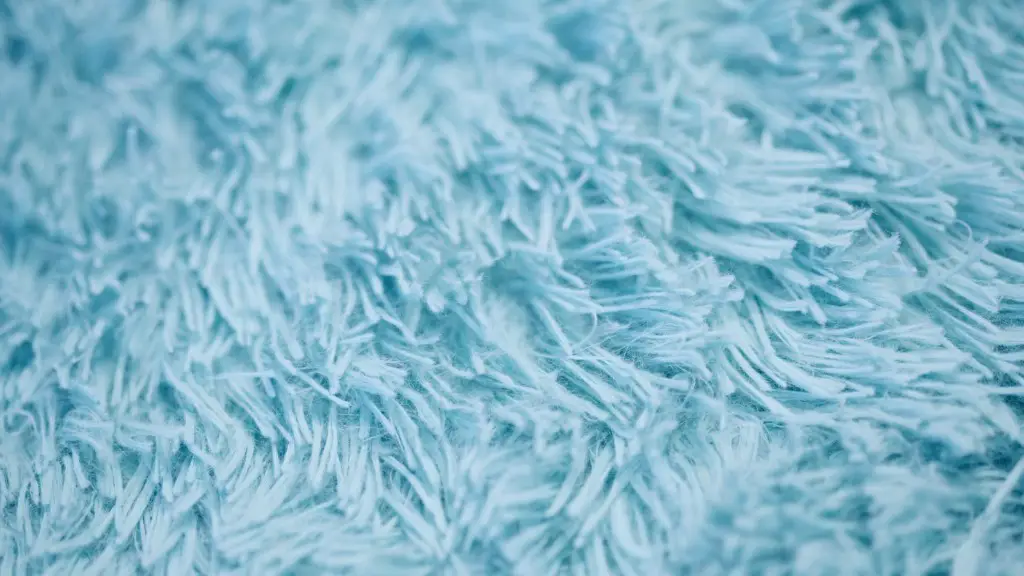 How to remove pet urine stains in carpet?